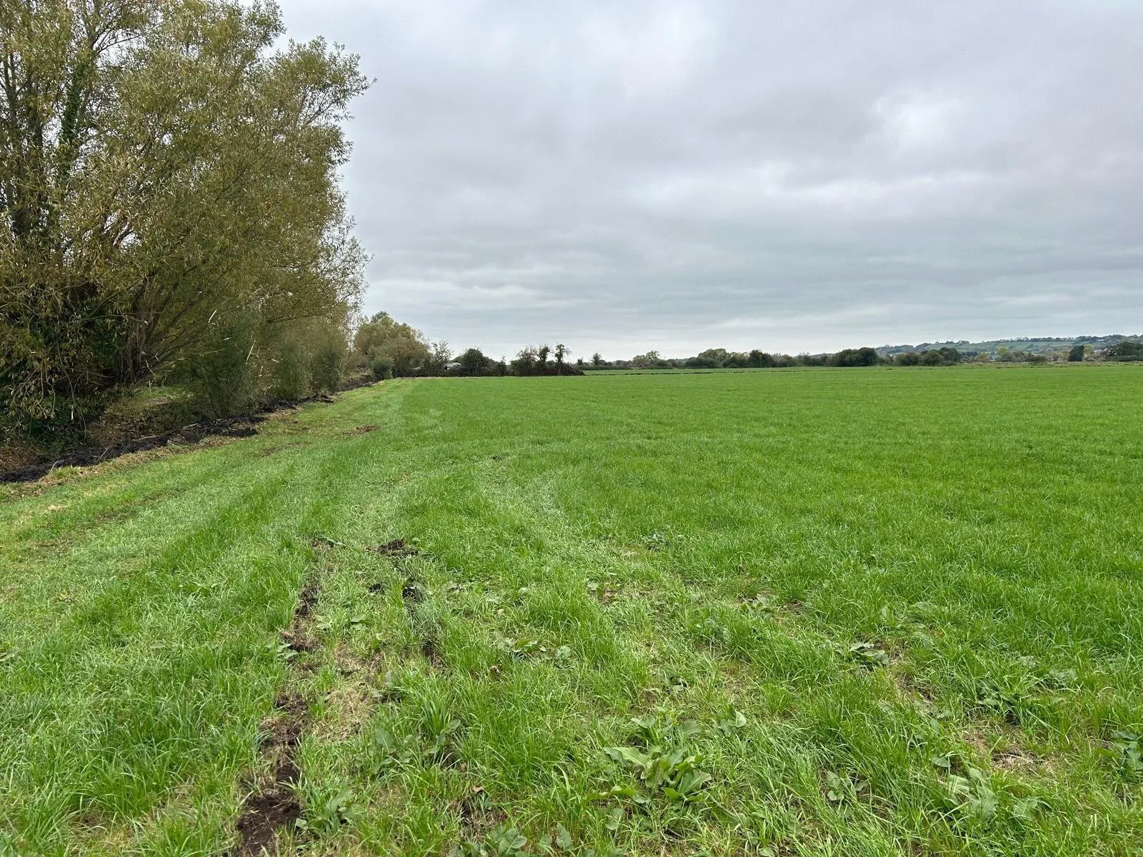 Nythe Road, High Ham,, Langport, TA7