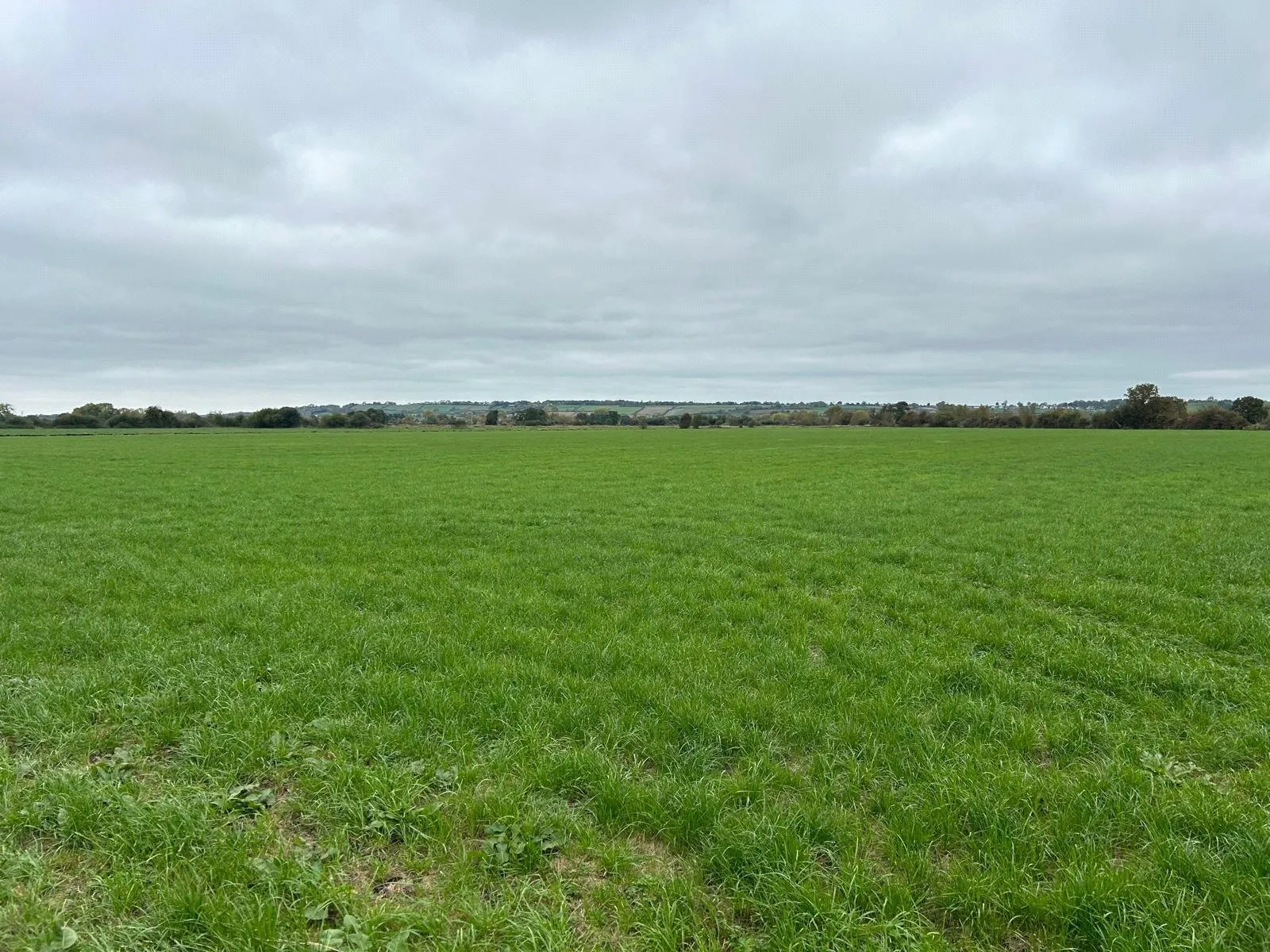 Nythe Road, High Ham,, Langport, TA7