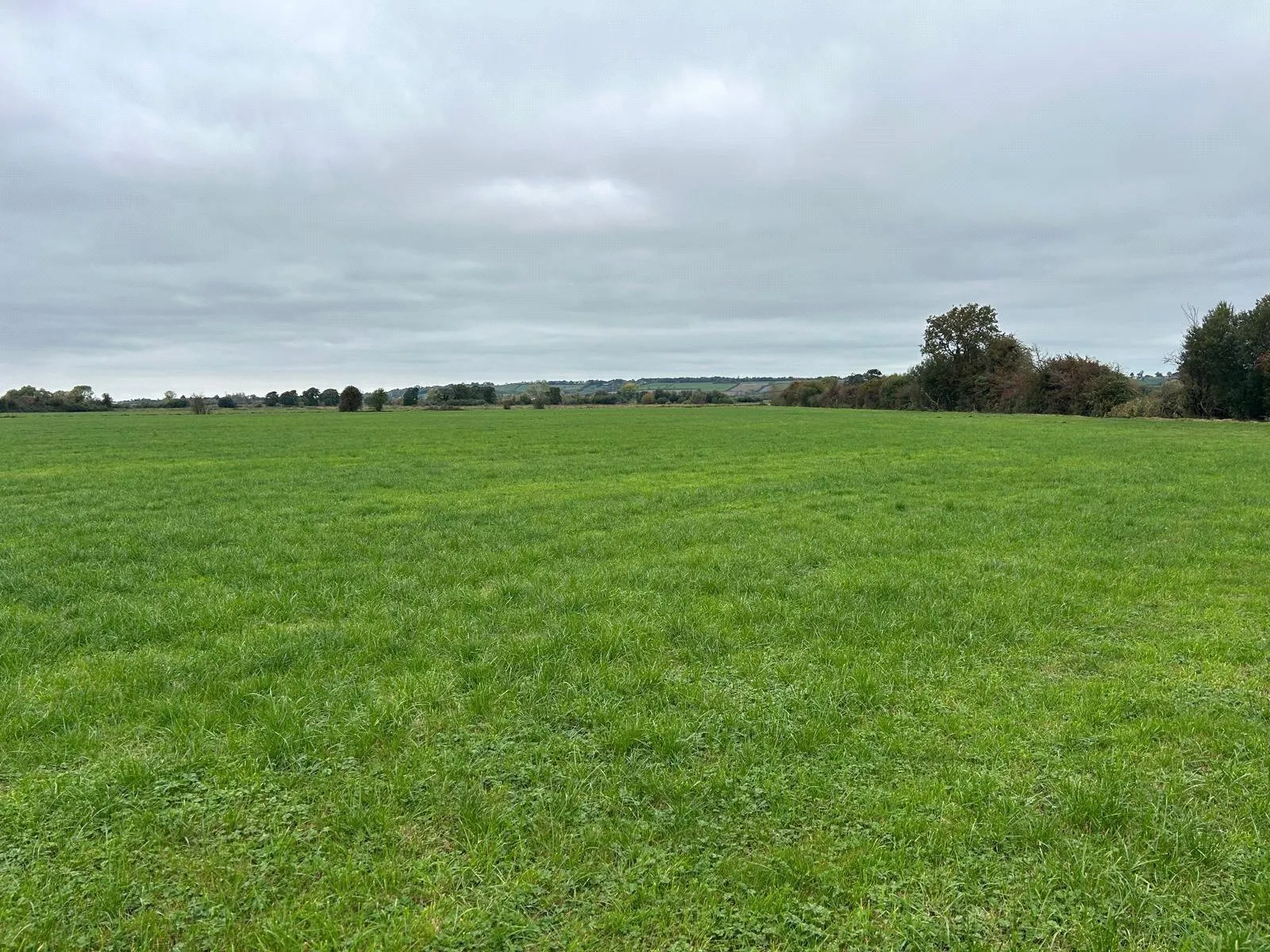Nythe Road, High Ham,, Langport, TA7