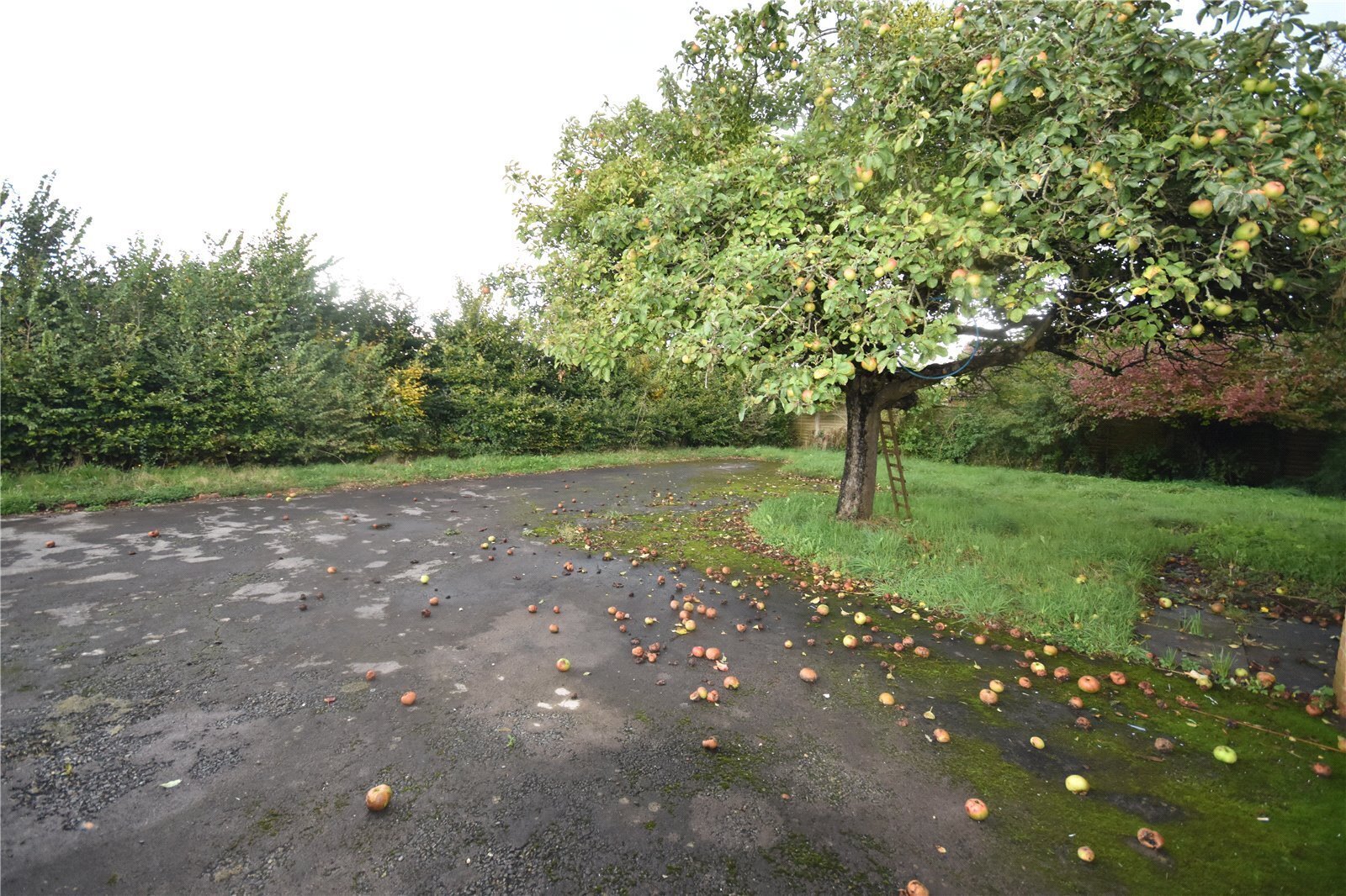 Cliff Road, North Petherton, Bridgwater, Somerset, TA6