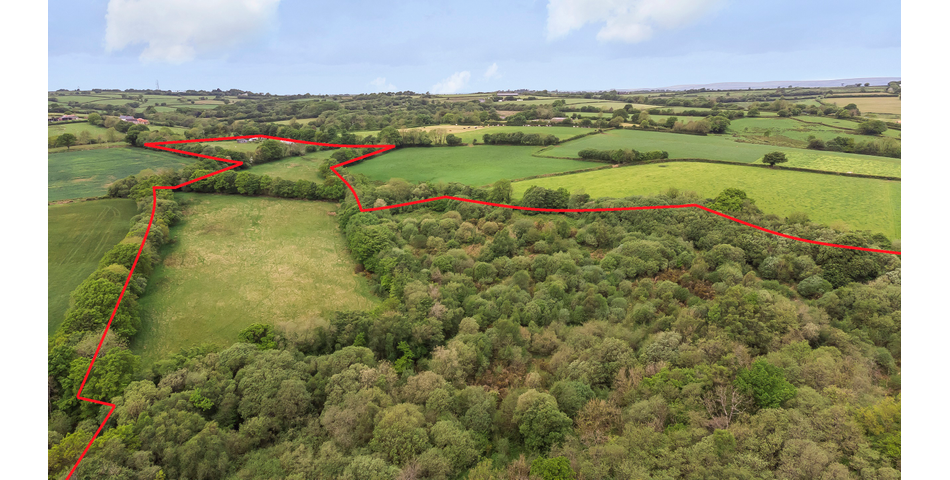 Nettleford Hof, Rackenford, Tiverton