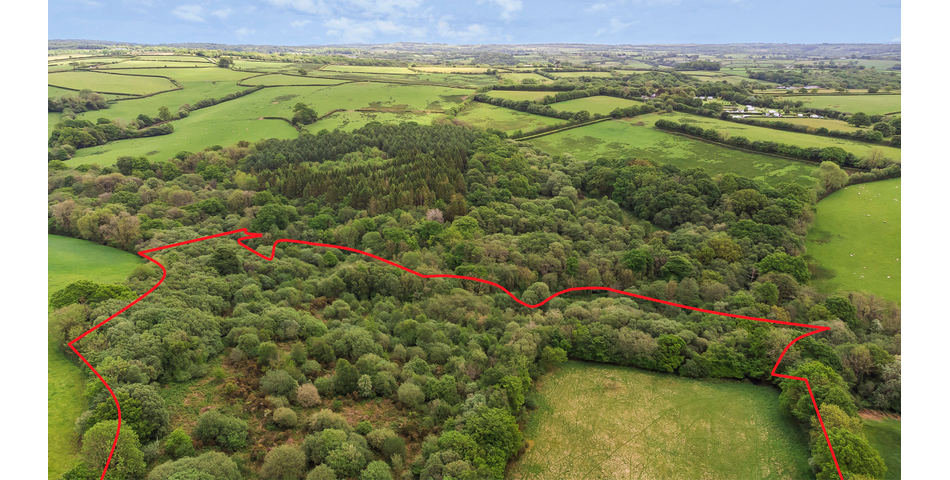 Nettleford Hof, Rackenford, Tiverton