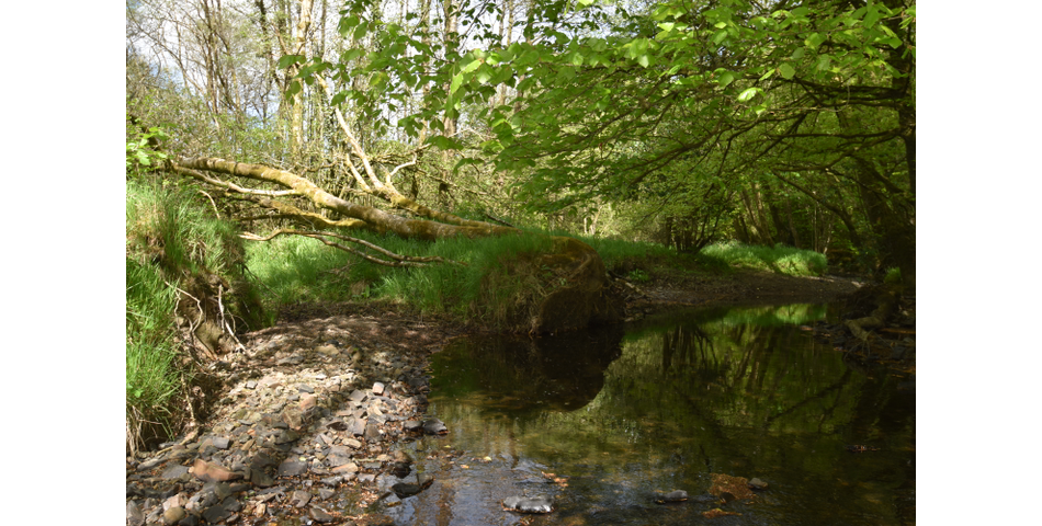 Nettleford Hof, Rackenford, Tiverton