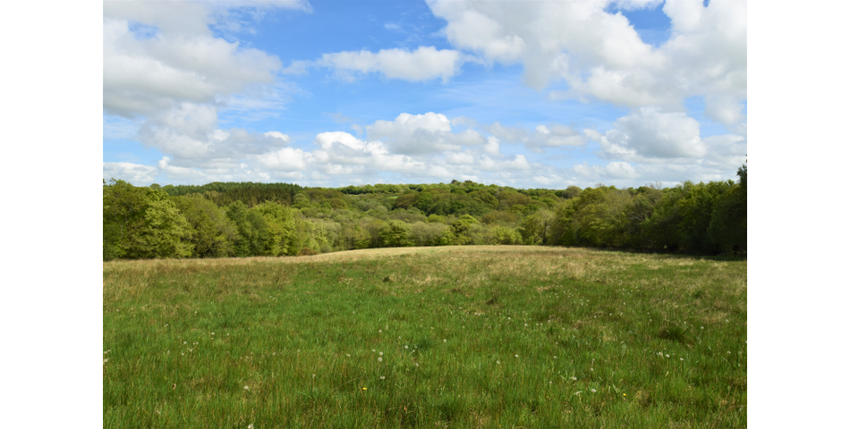 Nettleford Hof, Rackenford, Tiverton