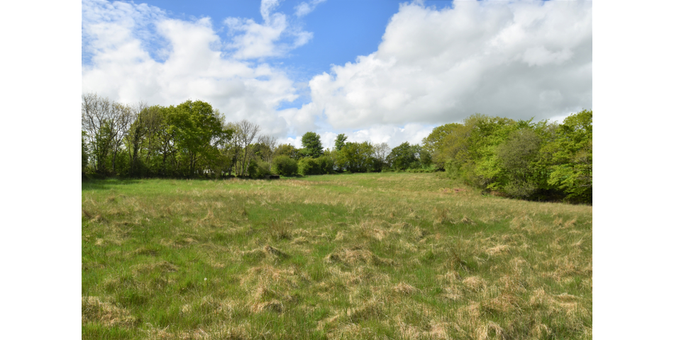 Nettleford Hof, Rackenford, Tiverton
