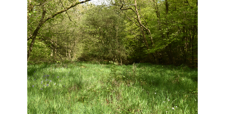 Nettleford Hof, Rackenford, Tiverton