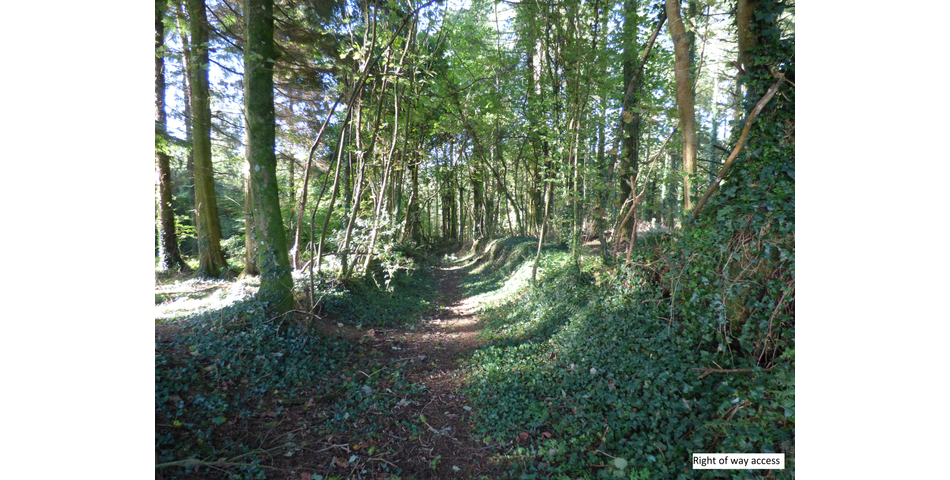 Mardon (ruin), Nr Trenchford Reservoir
