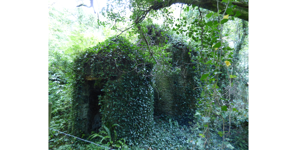 Mardon (ruin), Nr Trenchford Reservoir