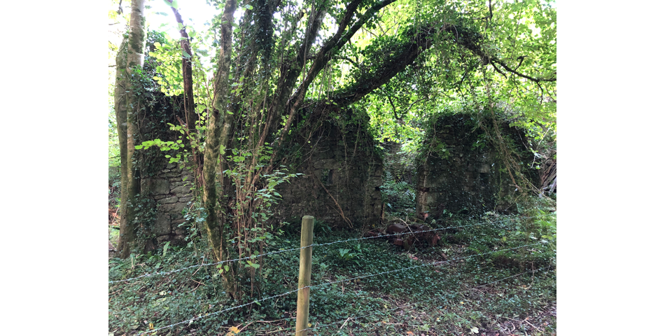 Mardon (ruin), Nr Trenchford Reservoir