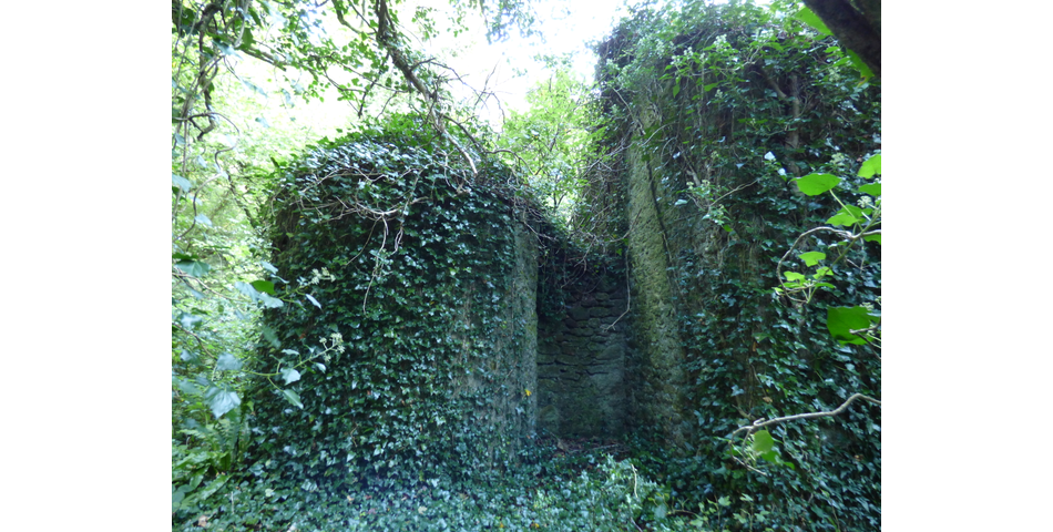 Mardon (ruin), Nr Trenchford Reservoir
