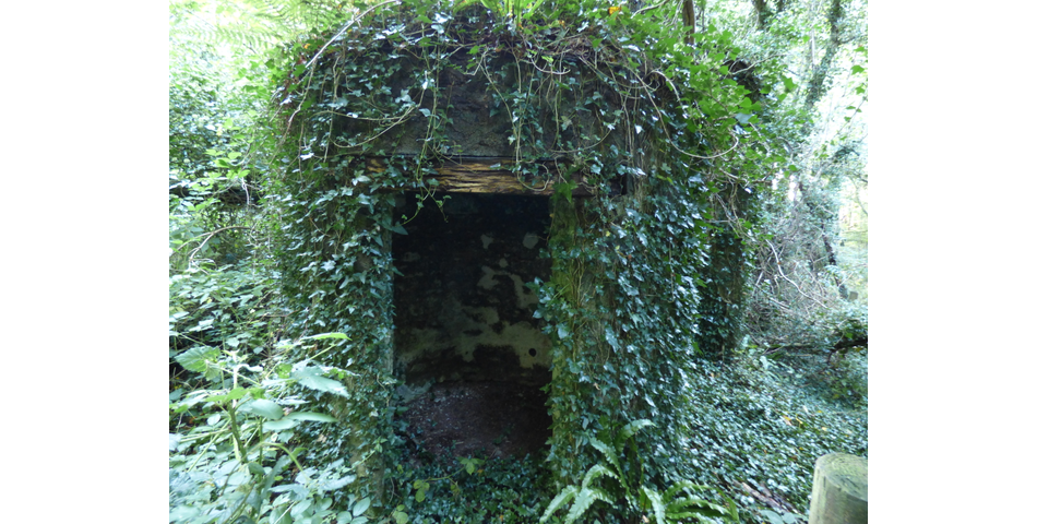 Mardon (ruin), Nr Trenchford Reservoir