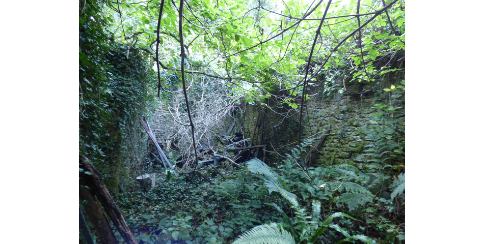 Mardon (ruin), Nr Trenchford Reservoir