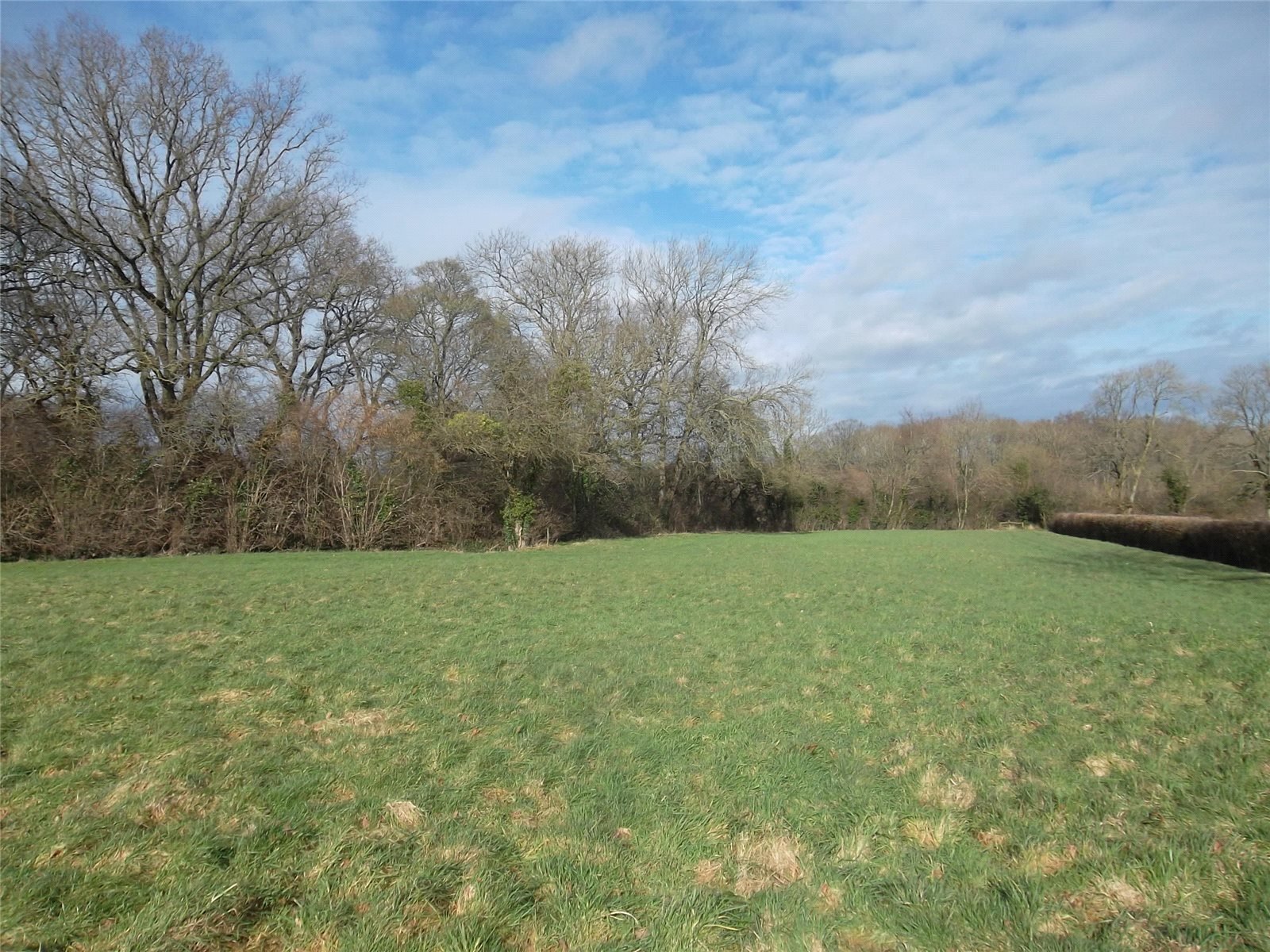 Amenity Land  Woodland, Stagmans Lane, Ashcott, BRIDGWATER, BA16