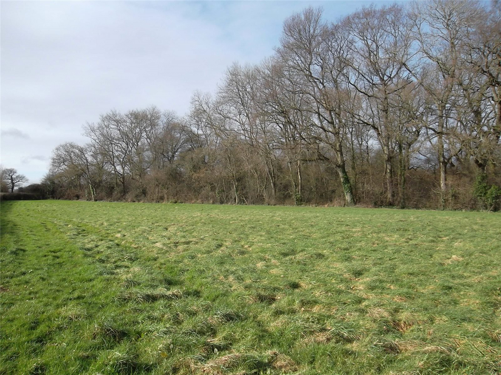 Amenity Land  Woodland, Stagmans Lane, Ashcott, BRIDGWATER, BA16