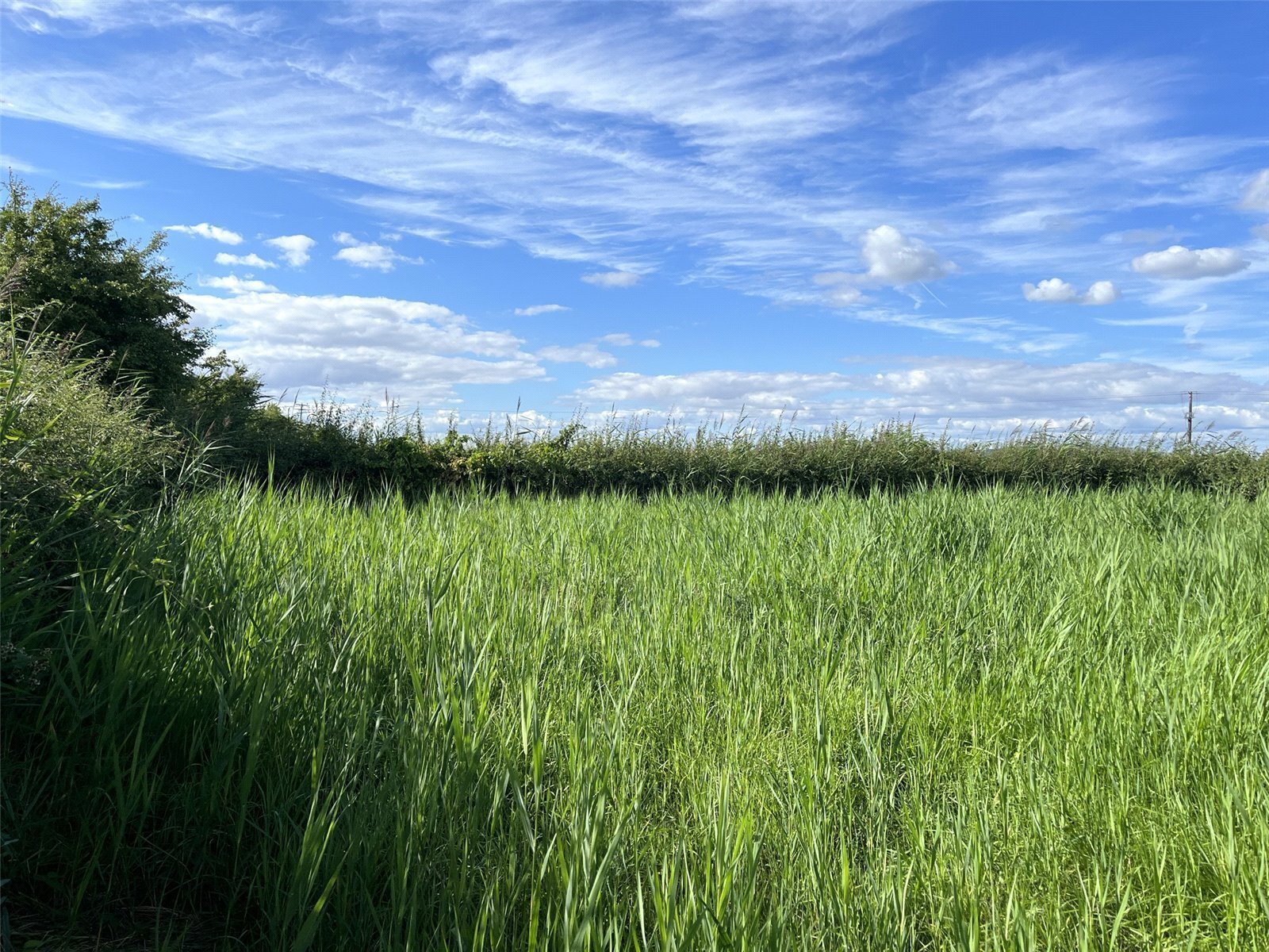 Vole Road, Mark, HIGHBRIDGE, Somerset, TA9
