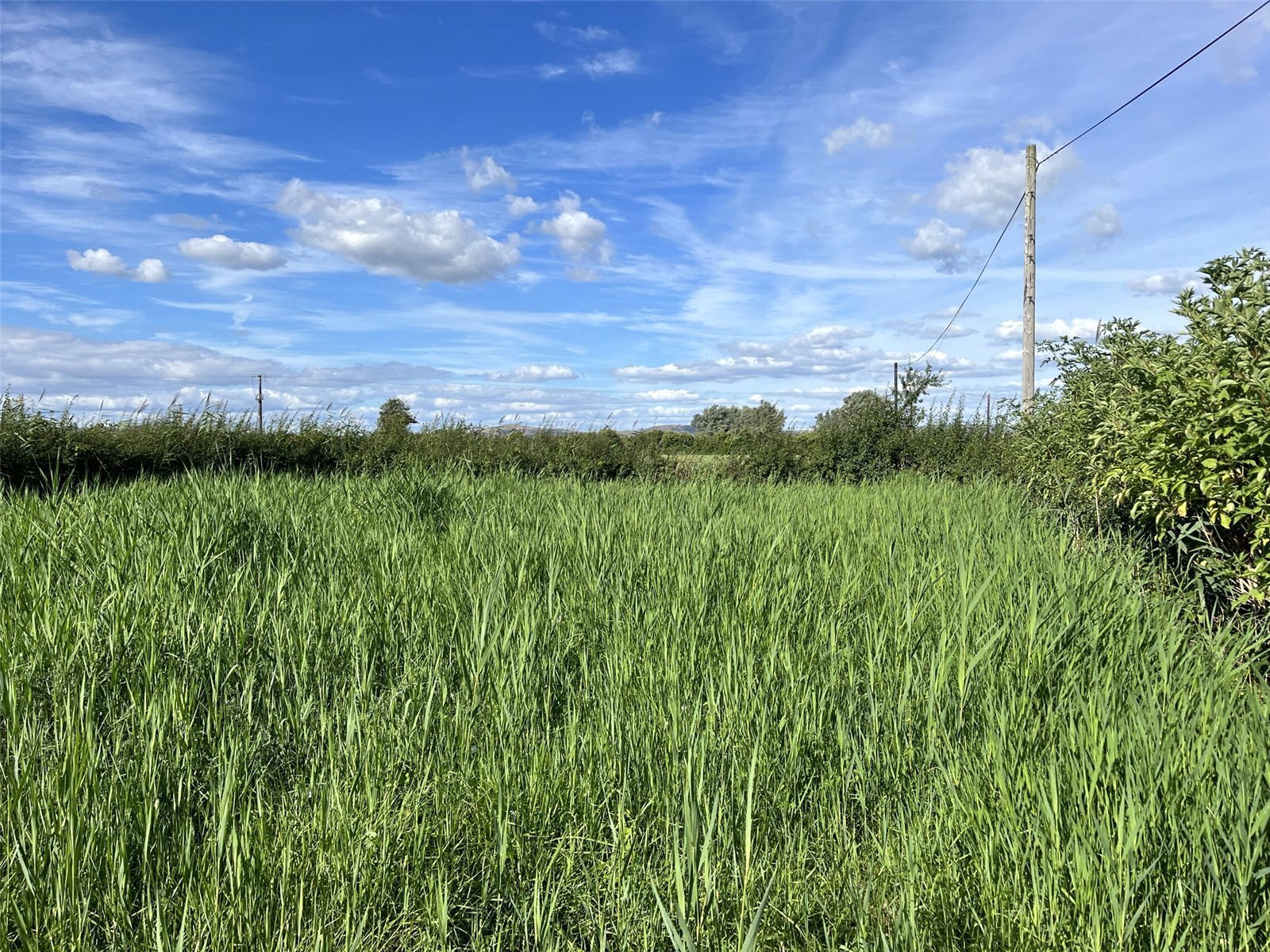 Vole Road, Mark, HIGHBRIDGE, Somerset, TA9