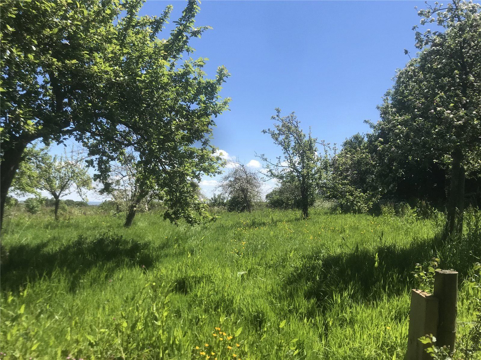 Land At Goathurst, Bridgwater, Somerset, TA5