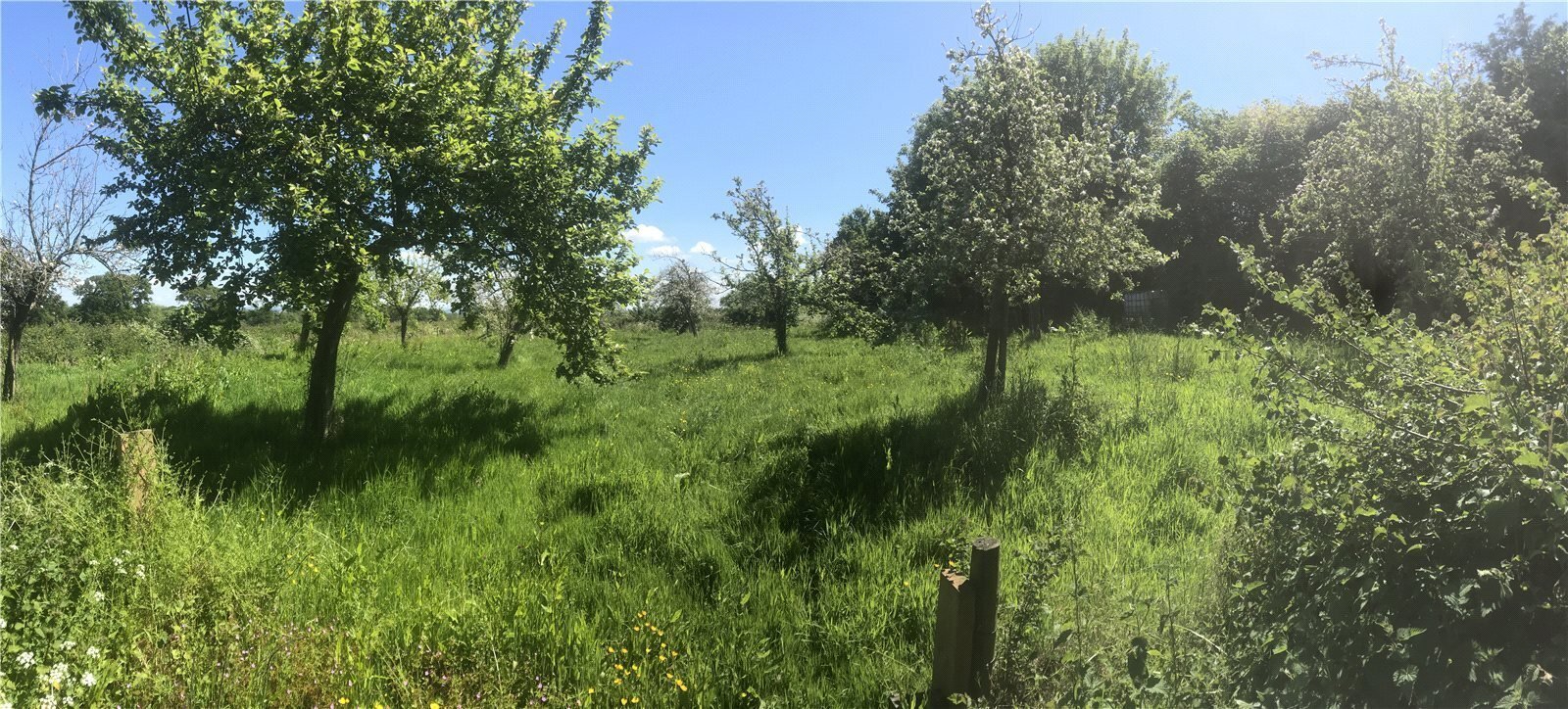Land At Goathurst, Bridgwater, Somerset, TA5
