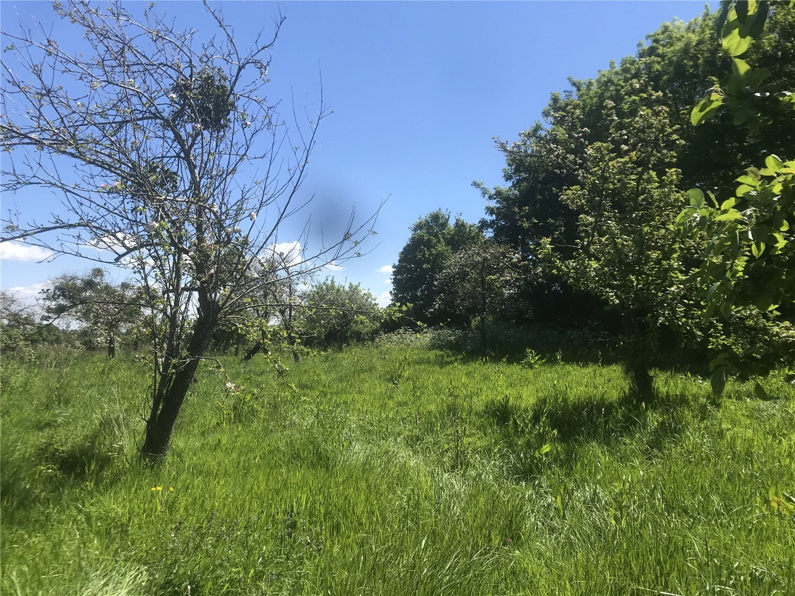 Land At Goathurst, Bridgwater, Somerset, TA5