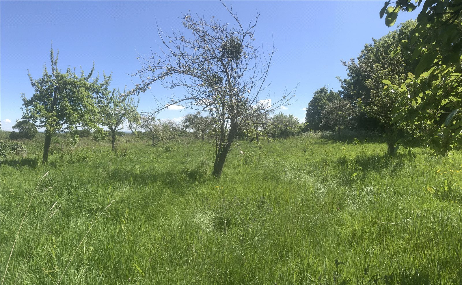 Land At Goathurst, Bridgwater, Somerset, TA5