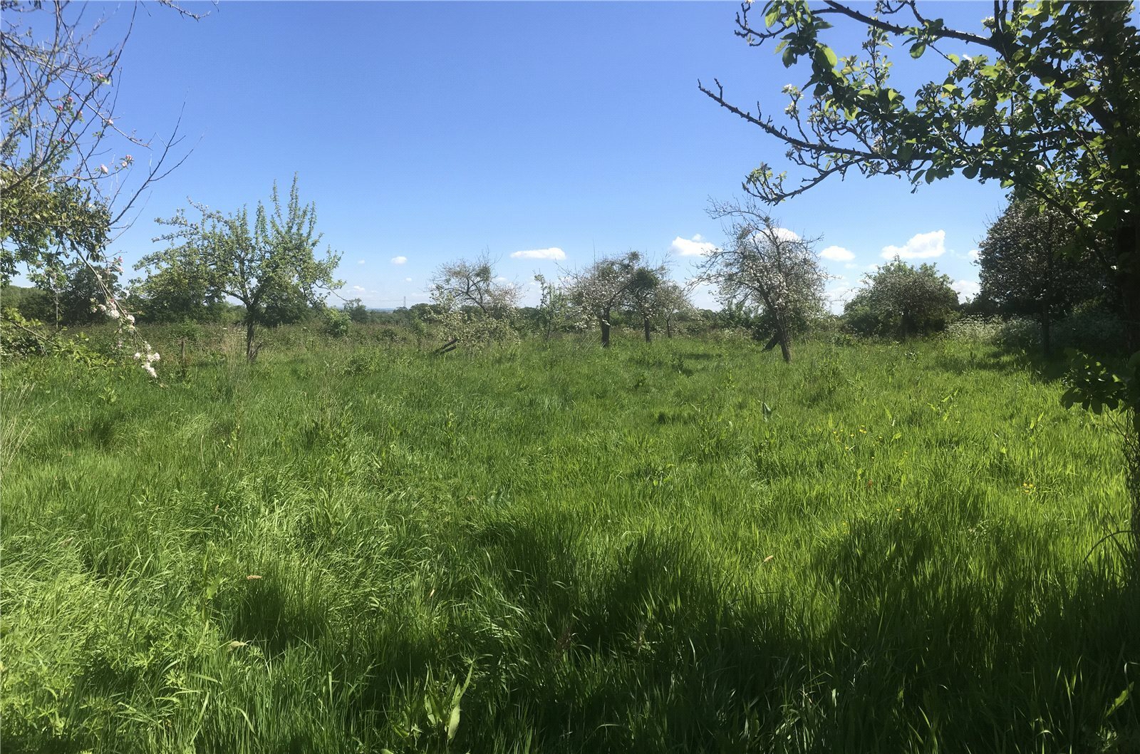 Land At Goathurst, Bridgwater, Somerset, TA5