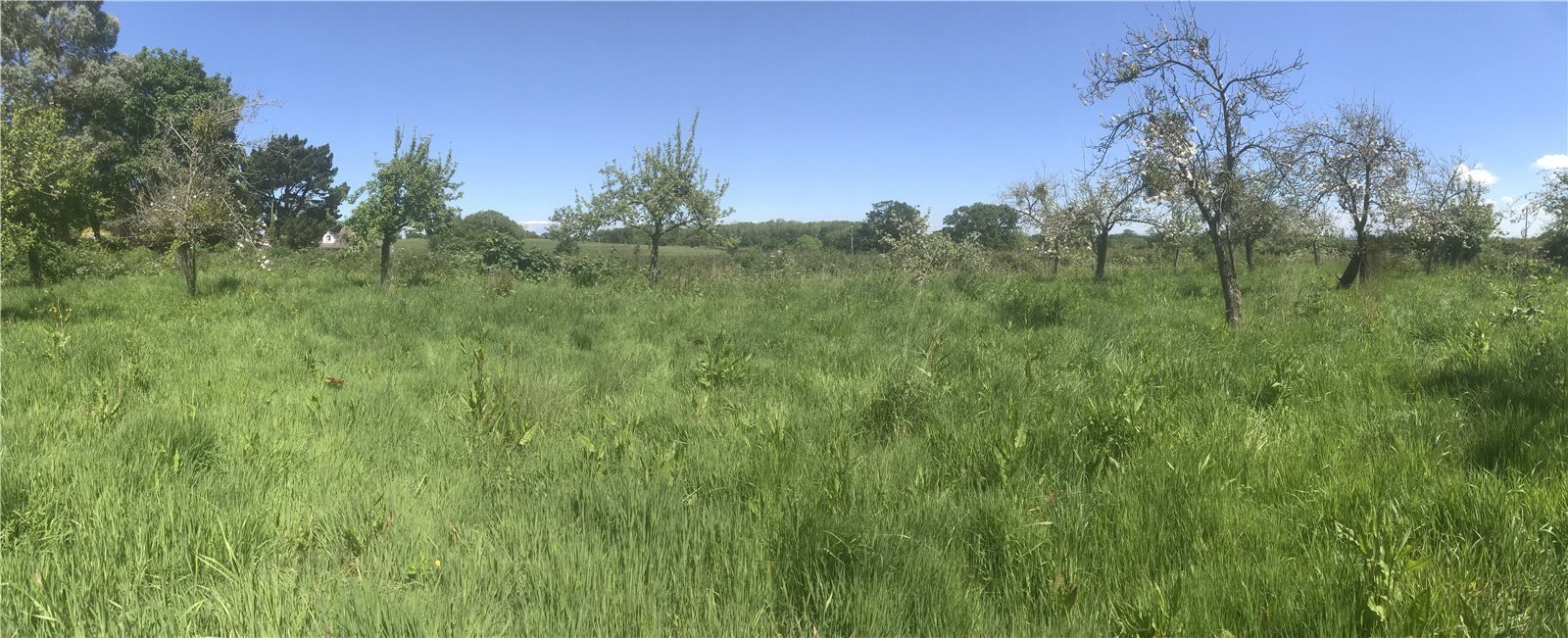 Land At Goathurst, Bridgwater, Somerset, TA5
