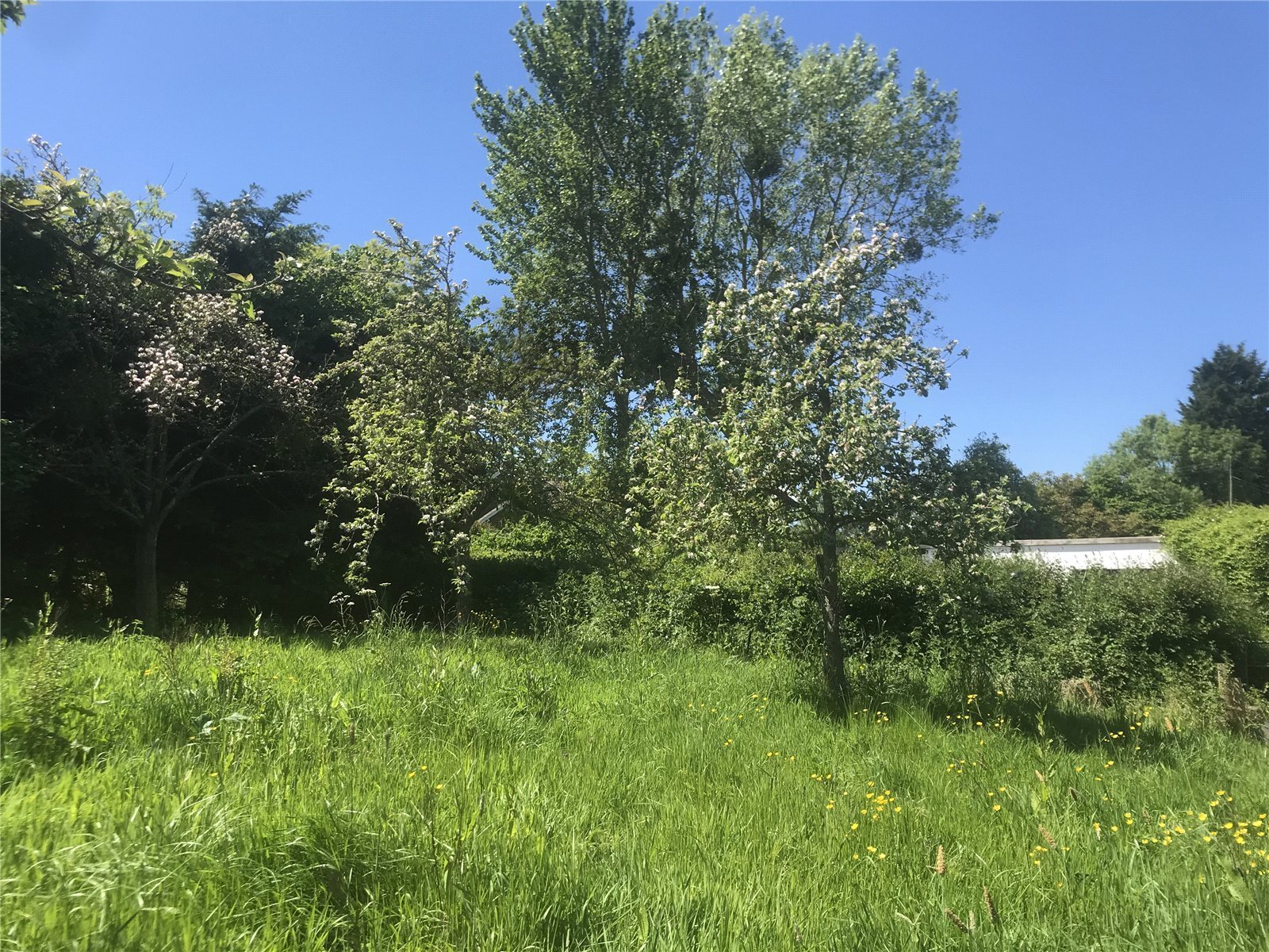 Land At Goathurst, Bridgwater, Somerset, TA5