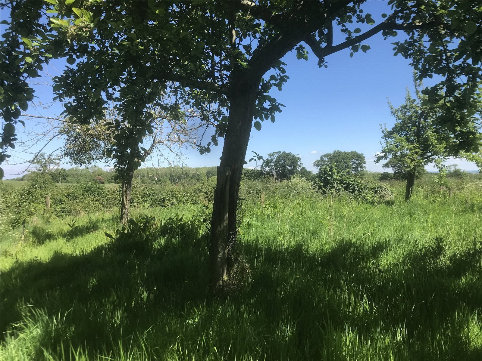 Land At Goathurst, Bridgwater, Somerset, TA5