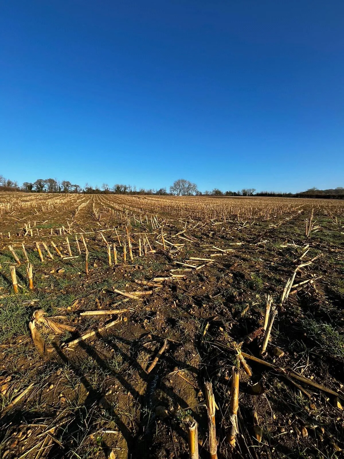To The North Of A378, Fivehead, Taunton, Somerset, TA3