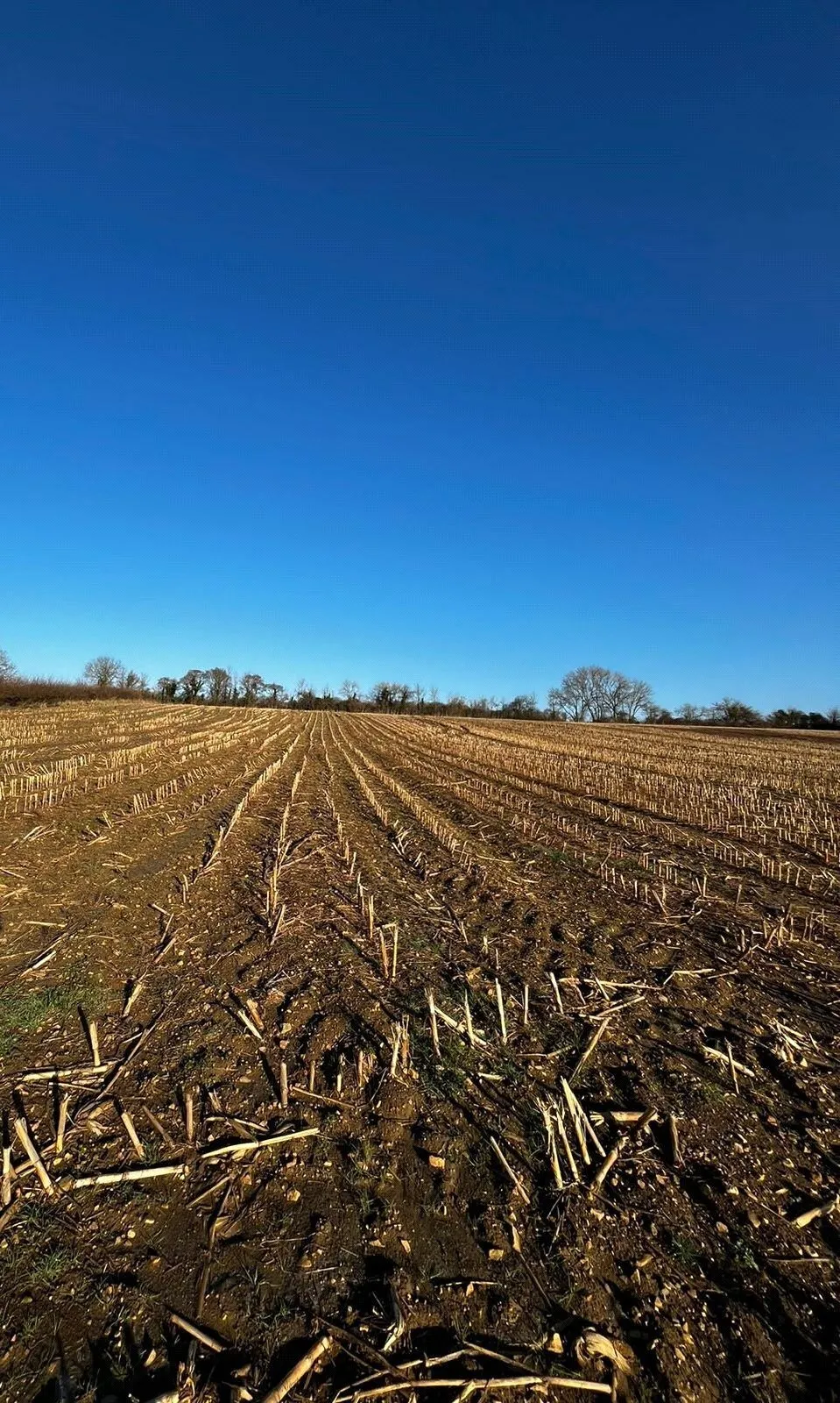To The North Of A378, Fivehead, Taunton, Somerset, TA3