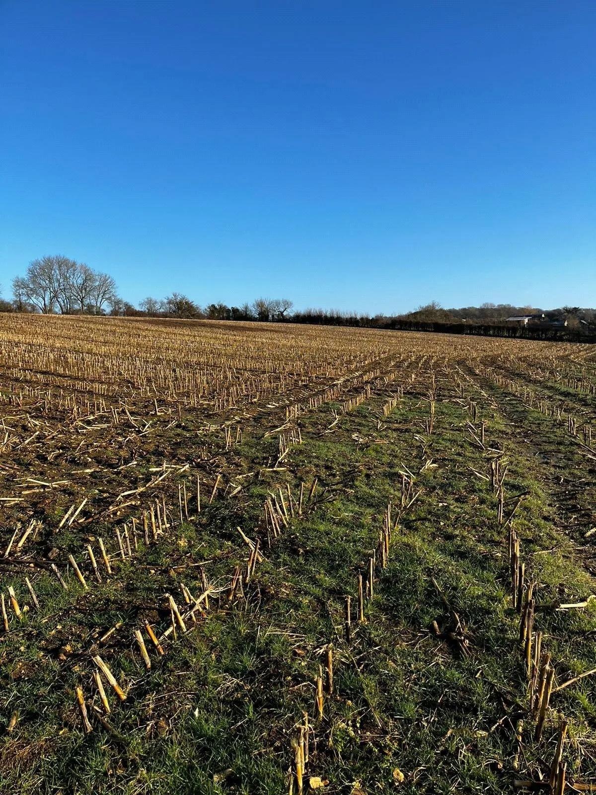 To The North Of A378, Fivehead, Taunton, Somerset, TA3