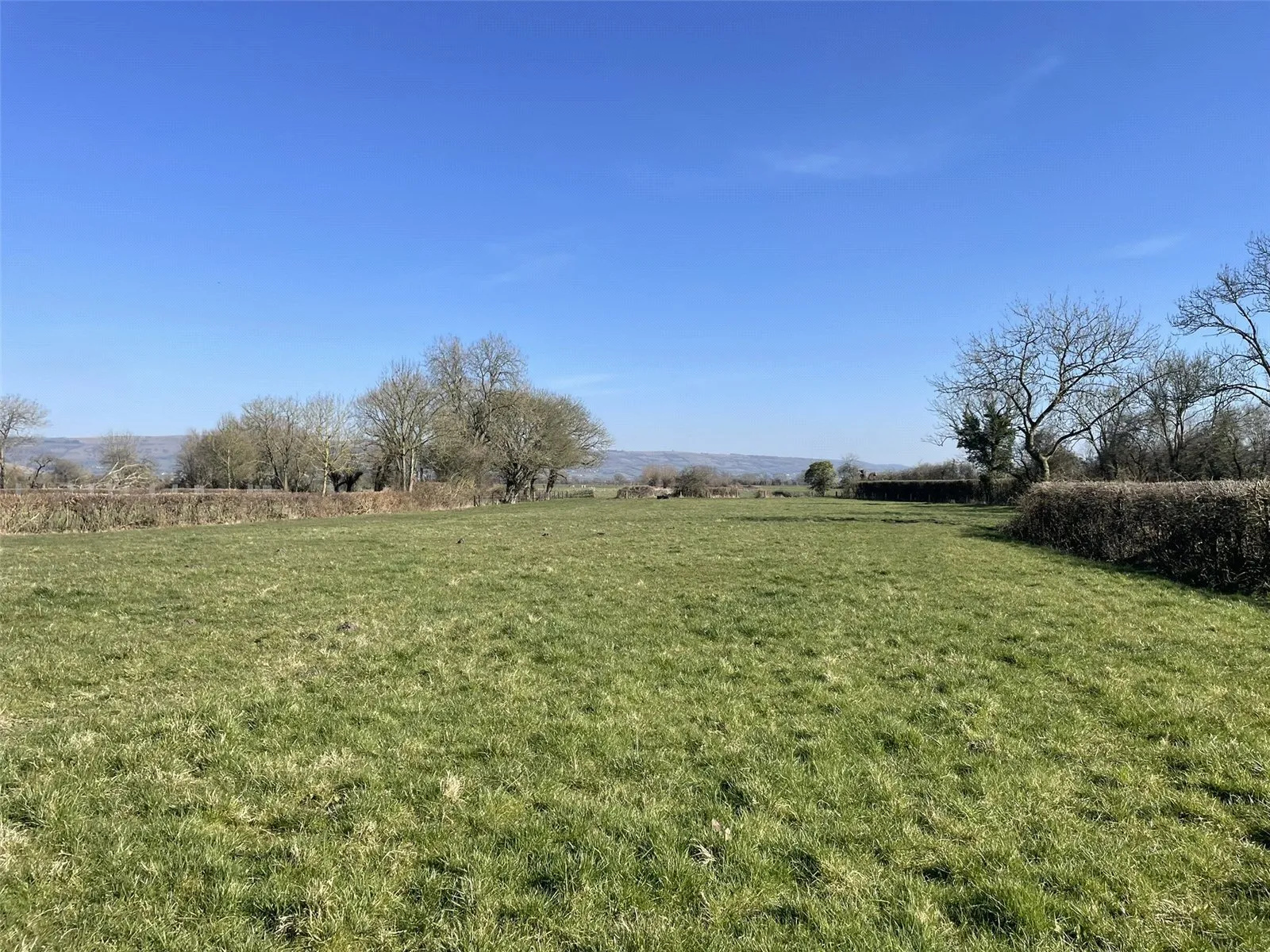 Pillmead Lane, Wedmore, Somerset, BS28