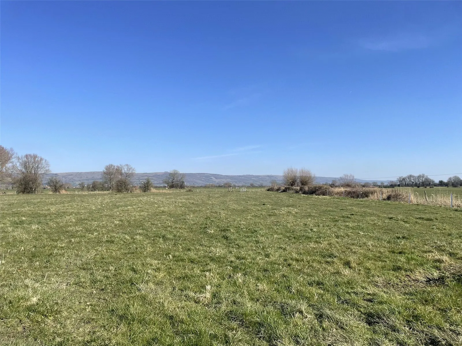 Pillmead Lane, Wedmore, Somerset, BS28
