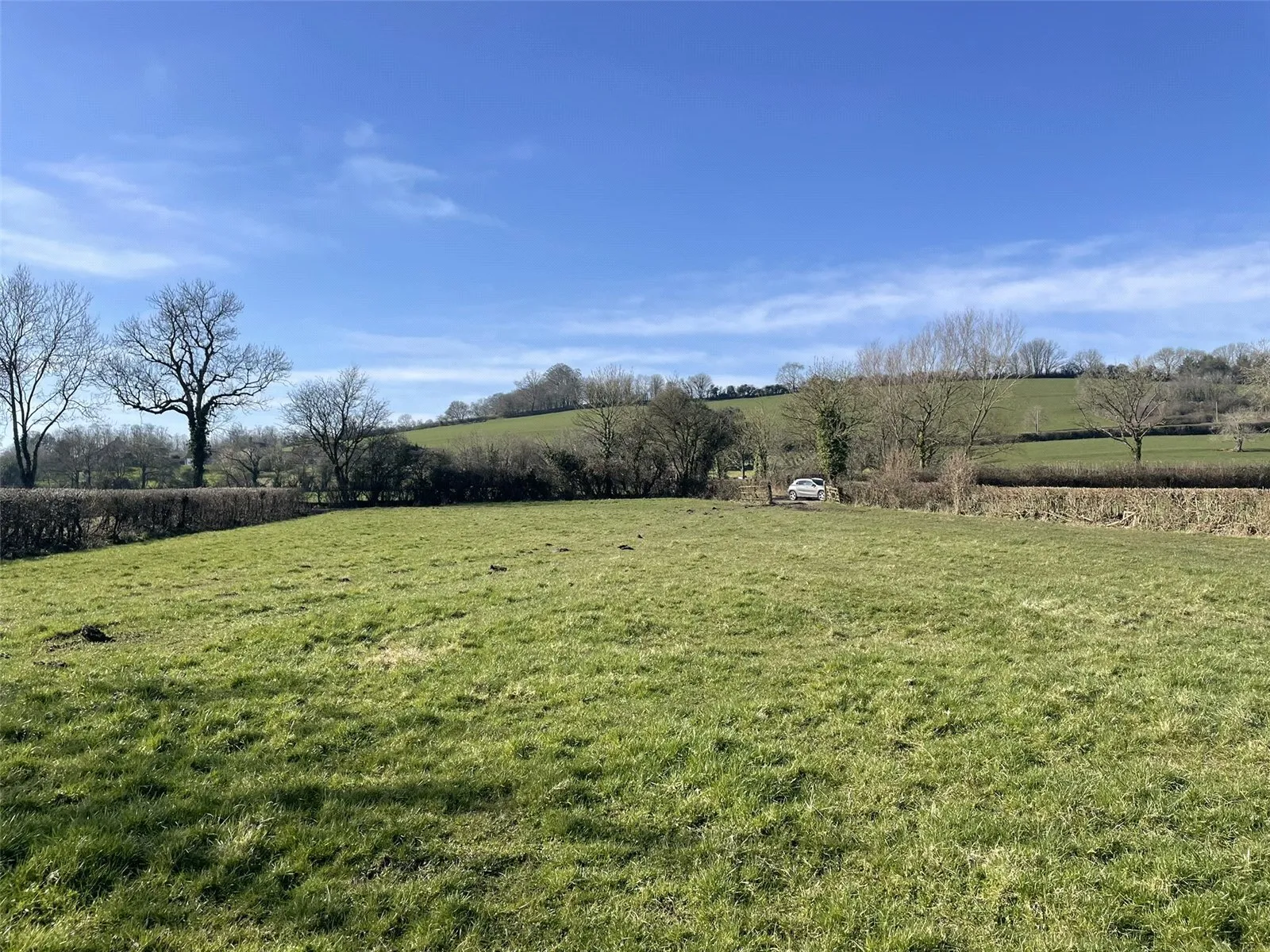 Pillmead Lane, Wedmore, Somerset, BS28