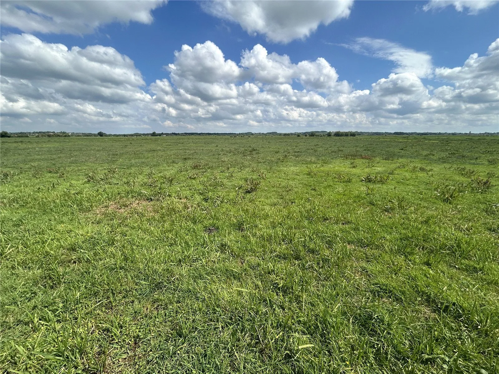 Muchelney, Langport, Somerset, TA10