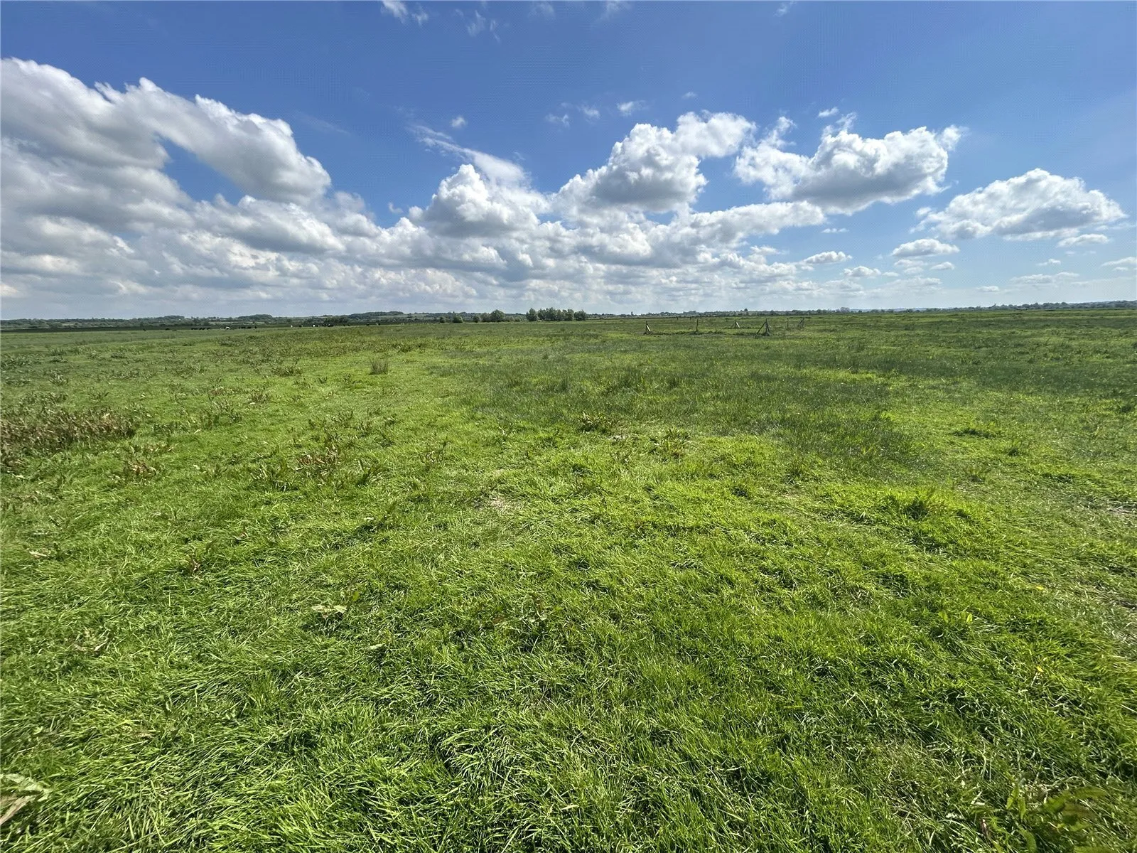 Muchelney, Langport, Somerset, TA10
