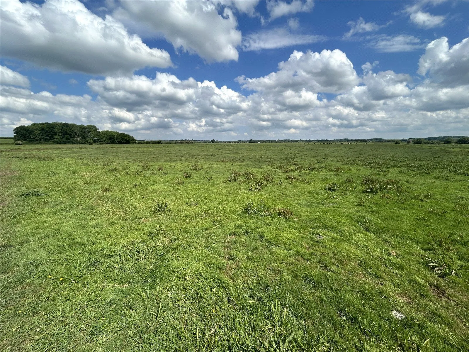 Muchelney, Langport, Somerset, TA10