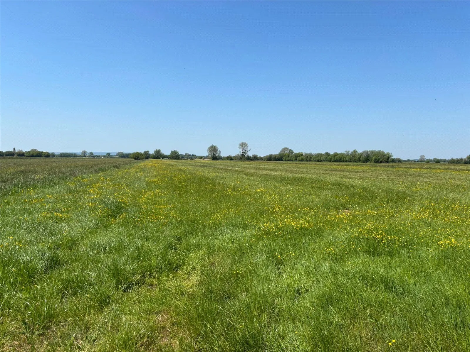 Land At Beer Drove, Langport, Somerset, TA10