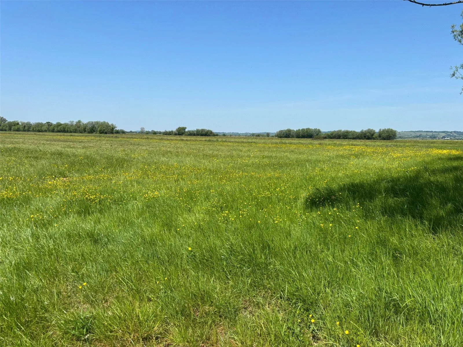 Land At Beer Drove, Langport, Somerset, TA10