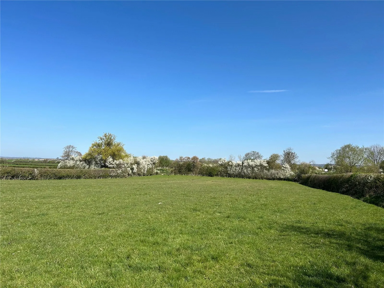 Witcombe, Martock, Somerset, TA12