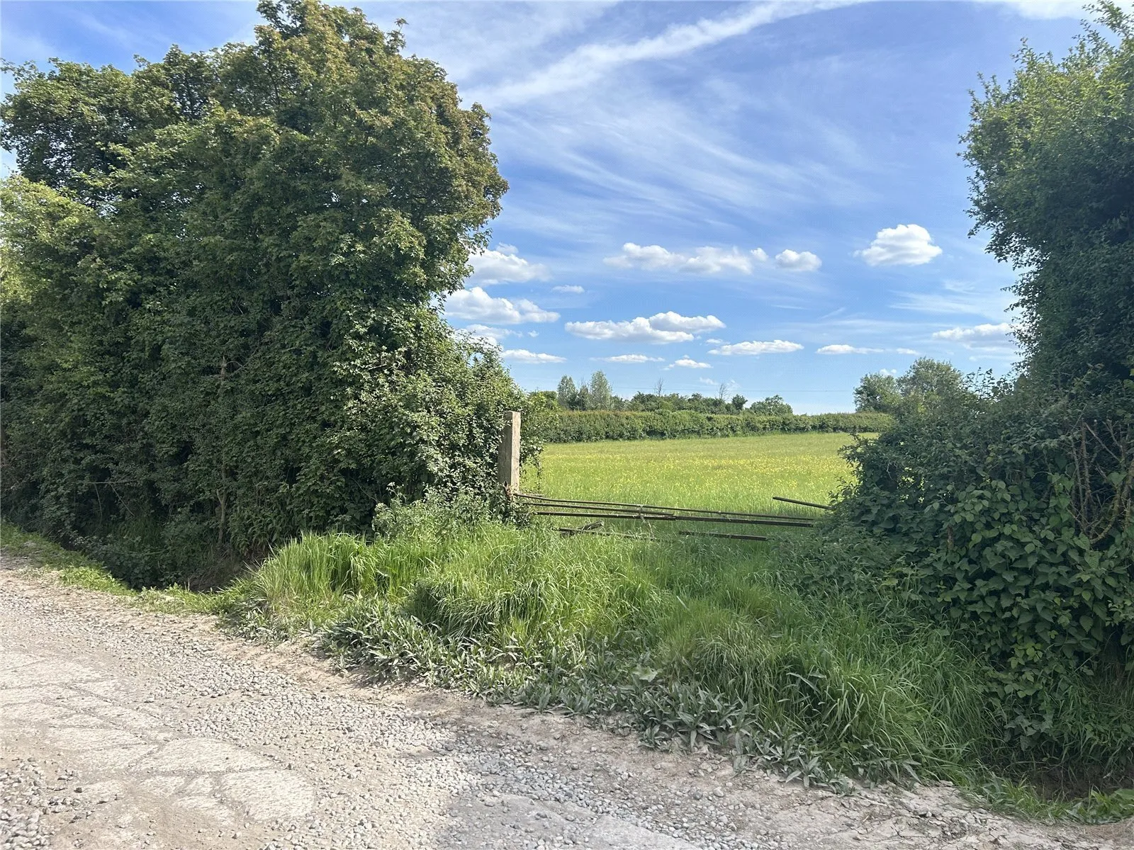 Witcombe, Martock, Somerset, TA12