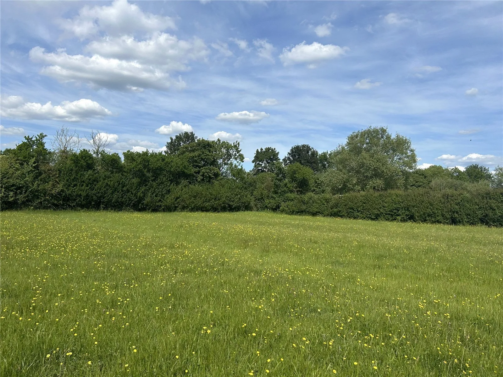 Witcombe, Martock, Somerset, TA12