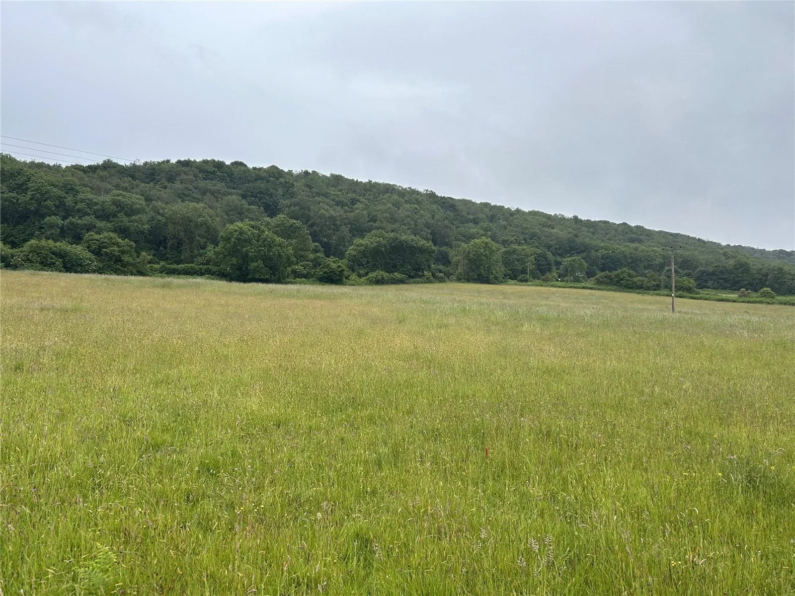 Clevedon Lane, Clevedon, North Somerset, BS21