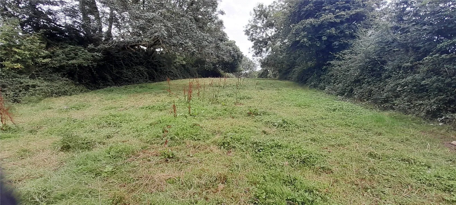 Glastonbury, Somerset, BA6