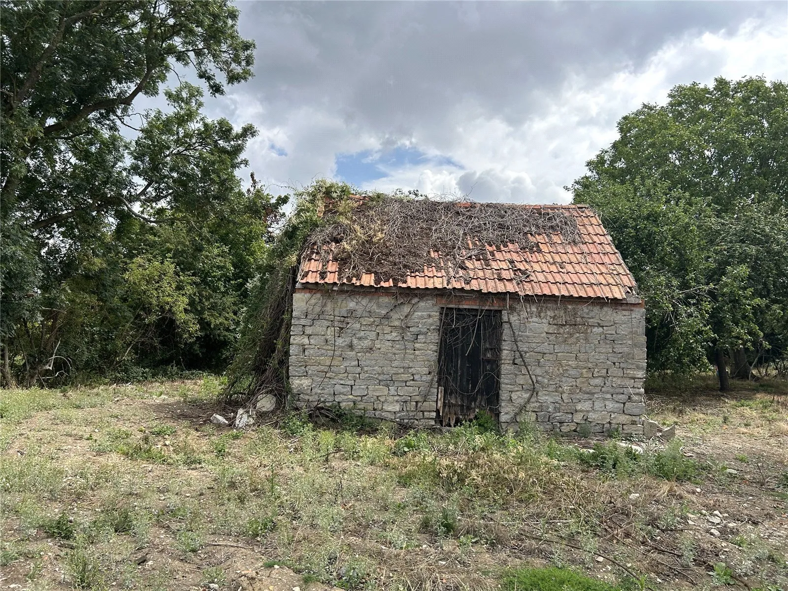 Lower Farm, Limington, Yeovil, BA22