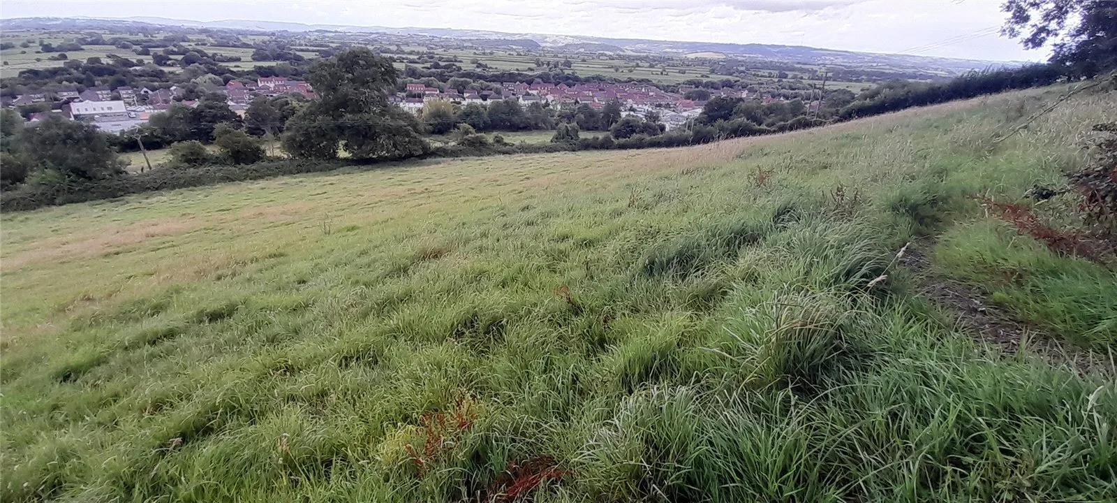 Glastonbury, Somerset, BA6