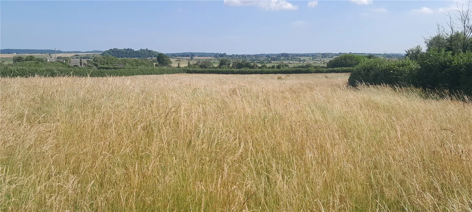 West Lyng, Taunton, Somerset, TA3