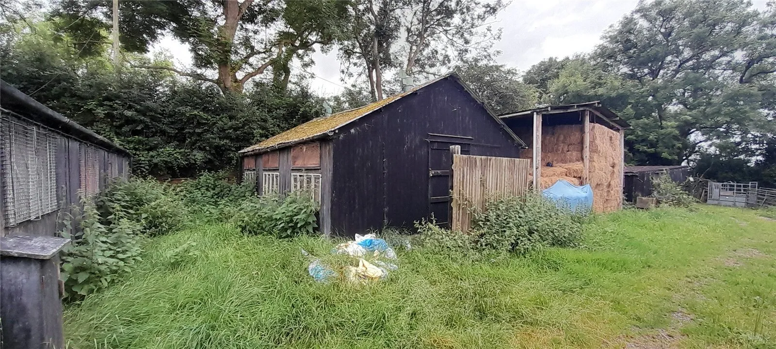 Glastonbury, Somerset, BA6