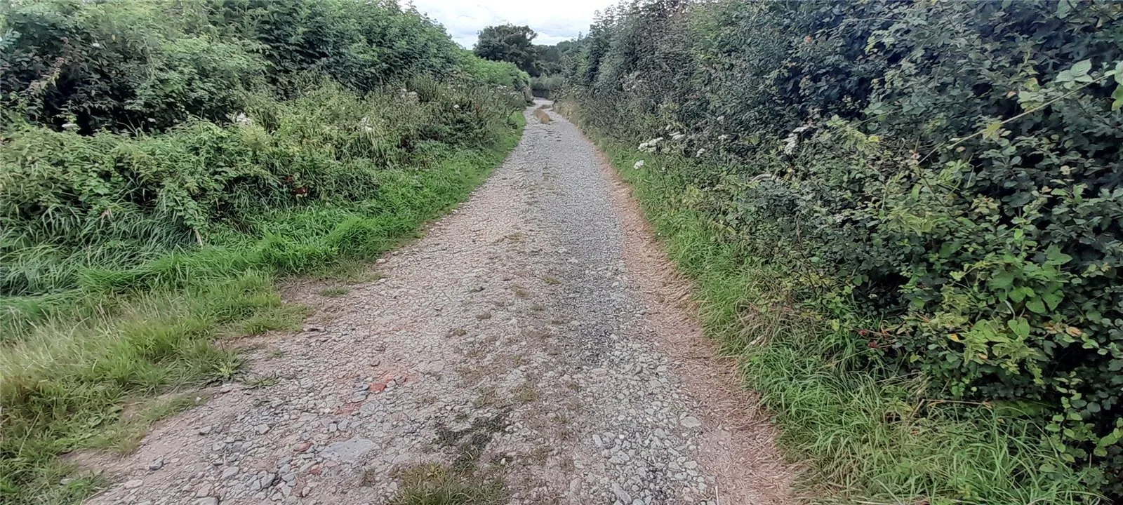 Glastonbury, Somerset, BA6