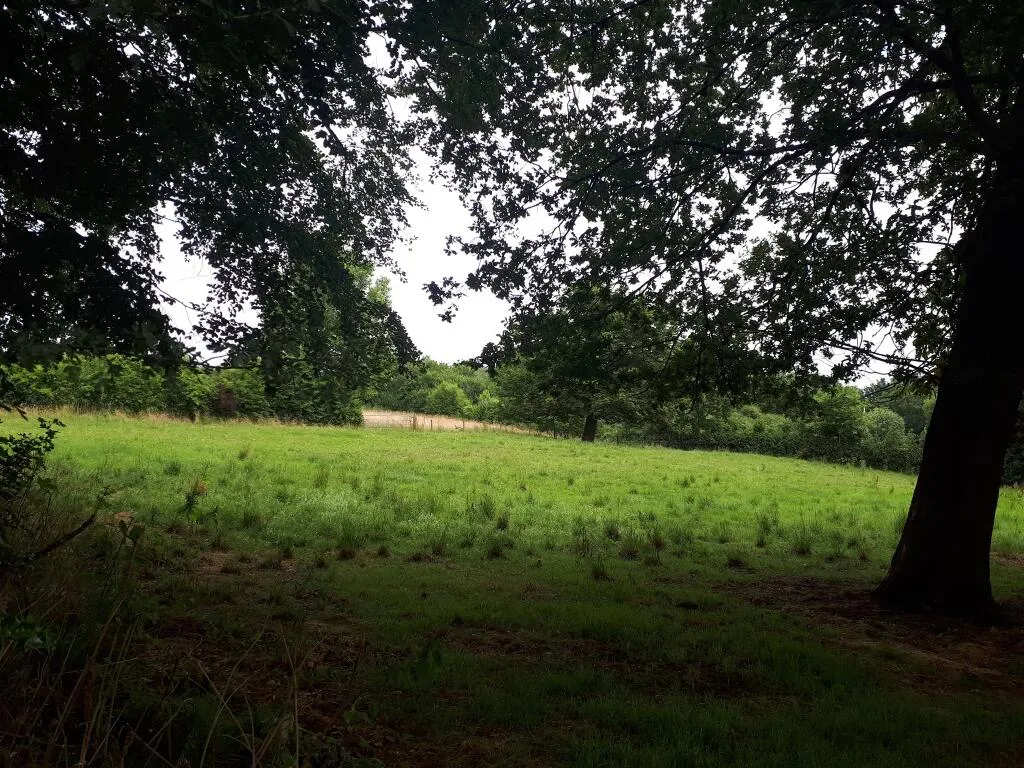 Development Land